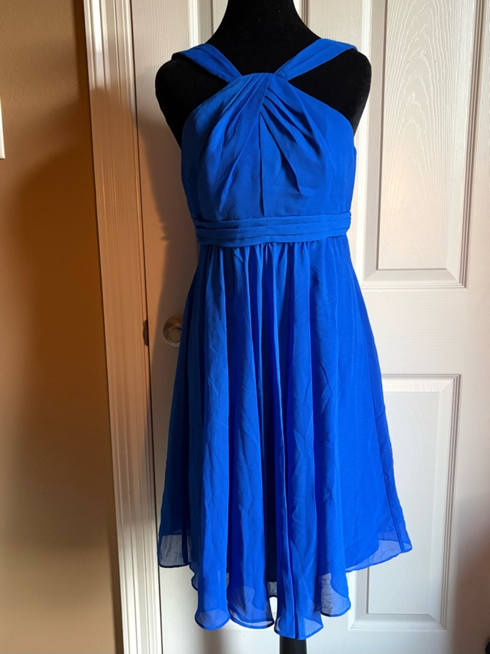 DAVID’S BRIDAL Chiffon Crinkle Dress